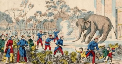 وضع الحيوانات خلال حصار باريس