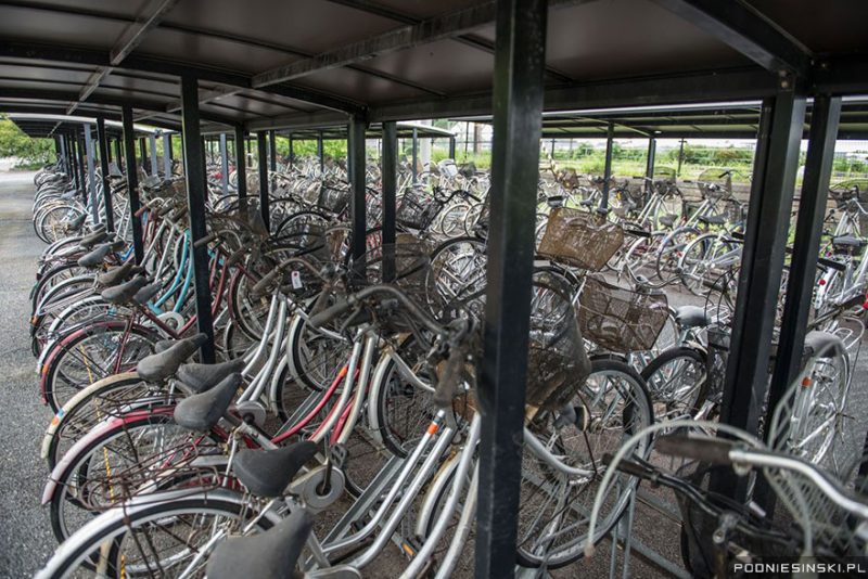 Chilling Images of a Civilization Swallowed by Nature in the Fukushima Nuclear Disaster Zone