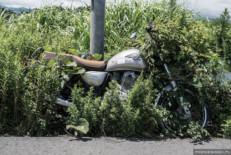 Chilling Images of a Civilization Swallowed by Nature in the Fukushima Nuclear Disaster Zone